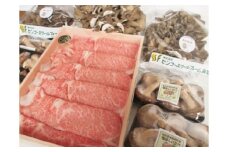 71K.◆鳥取和牛オレイン55◆すき焼き用&山の幸セット