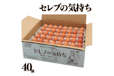 133K.セレブの気持ち40個