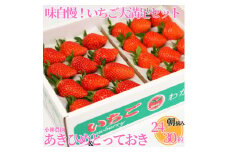 34K.■小林農園■味自慢！いちご大満足セット