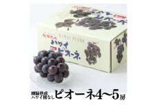 27K.潮騒熟成ハワイ種なしピオーネ4～5房