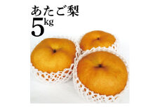 15K.あたご梨5kg