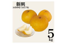 11K.新興5kg