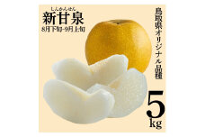 1K.新甘泉5kg