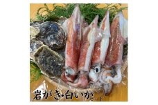 52K.■浜下商店■岩がき･白いかセット
