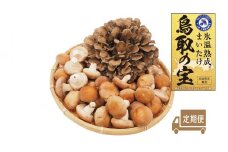 125K.氷温熟成舞茸『鳥取の宝』とどっさりしいたけの満ぷくセット〔定期便〕