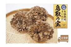 121K.氷温熟成舞茸『鳥取の宝』大満足セット〔定期便〕