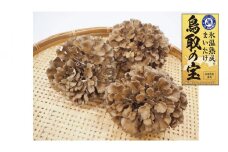 120K.氷温熟成舞茸『鳥取の宝』大満足セット