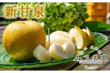 300K.湯梨浜東郷産 新甘泉5kg