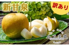 2K.湯梨浜東郷産 新甘泉5kg〔訳あり〕