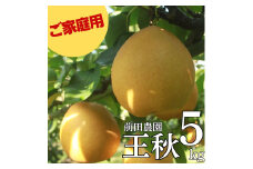14K.■前田農園■王秋5kg〔ご家庭用〕