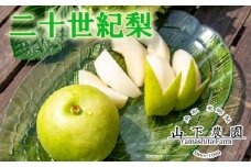 302K.湯梨浜東郷名産 二十世紀5kg