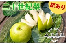 10K.湯梨浜東郷名産 二十世紀5kg〔訳あり〕