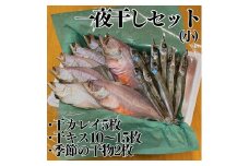 59K.■浜下商店■一夜干しセット〔小〕