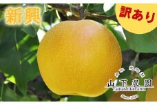 309K.湯梨浜東郷産 新興5kg〔訳あり〕