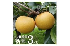 12K.■三ツ田農園■新興3kg