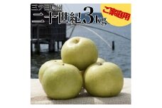 305K.■三ツ田農園■二十世紀3kg〔ご家庭用〕