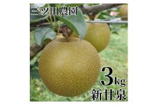 301K.■三ツ田農園■新甘泉3kg
