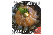 61K.◆湯梨浜ひらめ◆元気漬丼3袋セット