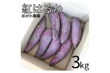 131K.おがわ農園 紅はるか3kg
