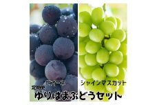 30K.ゆりはまぶどうセット