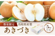 【先行予約】数量限定 鳥取県産梨 あきづき 5kg（10～12玉）