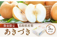 数量限定 鳥取県産梨 あきづき 5kg（10～12玉）