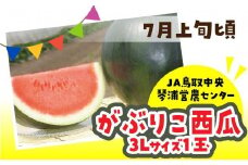 【先行予約】数量限定 鳥取県産 がぶりこ西瓜 1玉（3L）