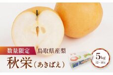 【先行予約】数量限定 鳥取県産梨 秋栄（あきばえ） 5kg（12～16玉）