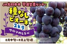 【先行予約】数量限定 ピオーネ 種なし 2kg