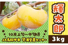 【先行予約】数量限定 鳥取県産柿 輝太郎（きたろう） 3kg