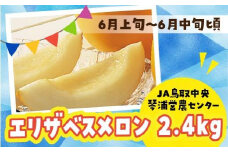 【先行予約】数量限定 鳥取県産 エリザベスメロン 4玉（2.4kg）
