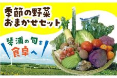 旬の野菜おまかせセット