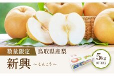 【先行予約】数量限定 鳥取県産梨 新興（しんこう） 5kg（10～12玉）