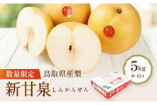 【先行予約】数量限定 鳥取県産梨 新甘泉（しんかんせん）5kg（8～12玉）