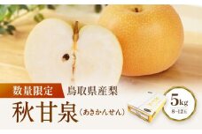 【先行予約】数量限定 鳥取県産梨 秋甘泉（あきかんせん） 5kg（8～12玉）