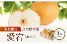 【先行予約】数量限定 鳥取県産梨 愛宕（あたご） 5kg（5～6玉）