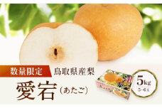 【先行予約】数量限定 鳥取県産梨 愛宕（あたご） 5kg（5～6玉）