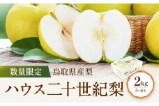 【先行予約】数量限定 鳥取県産梨 ハウス二十世紀梨 2kg（5～6玉）