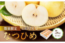 【先行予約】数量限定 鳥取県産梨 なつひめ 5kg（12～14玉）