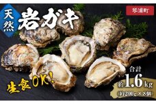  天然 岩ガキ 約 200 g × 8 個　※北海道、沖縄、一部離島への配送不可