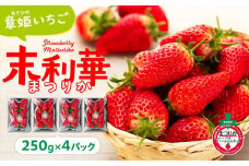 【先行予約】章姫(あきひめ)いちご 4P(250g×4) 「末利華(まつりか)」