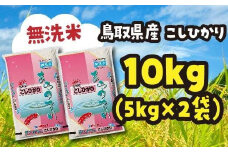 米 無洗米 コシヒカリ 令和6年産 鳥取県産 10kg （ 5kg × 2 ）
