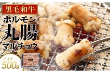 牛肉 黒毛和牛 ホルモン 丸腸(マルチョウ) 500g