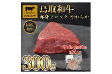 鳥取和牛 赤身肉 ブロック やわらか 300g KT010-023
