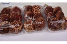 【先行予約】大山山麓 原木しいたけ （ 200g × 3パック ）