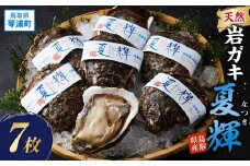 天然 岩ガキ ( 夏輝 ) 7 枚