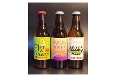 酒 クラフトビール　3種 3本セット