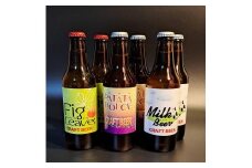 酒 クラフトビール　3種 6本セット