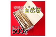 【先行予約】自然薯 500g 鳥取県琴浦町産  【12月上旬発送開始】
