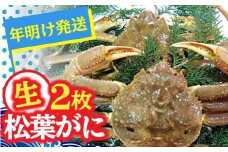 【先行予約】松葉ガニ（生なま）2枚【年明け配送】※着日指定不可※北海道、沖縄、一部離島への配送不可《ずわいがに　かに　カニ　蟹　正体》